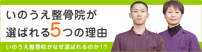 選ばれる5つの理由